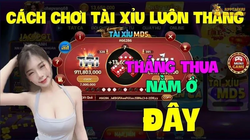 Bạn có thể đặt cược nhiều cửa để gia tăng tỷ lệ thắng
