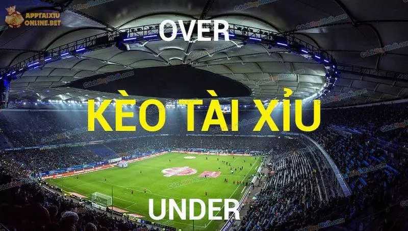 Tài xỉu trong bóng đá với cách chơi cực đơn giản
